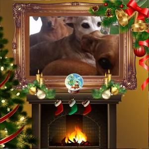 Meet your Posher, Deanna